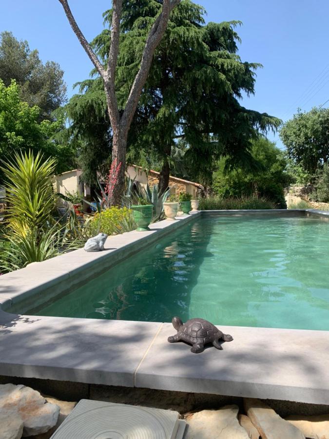 Chambres D'Hotes Lovely Planette Nimes Bagian luar foto